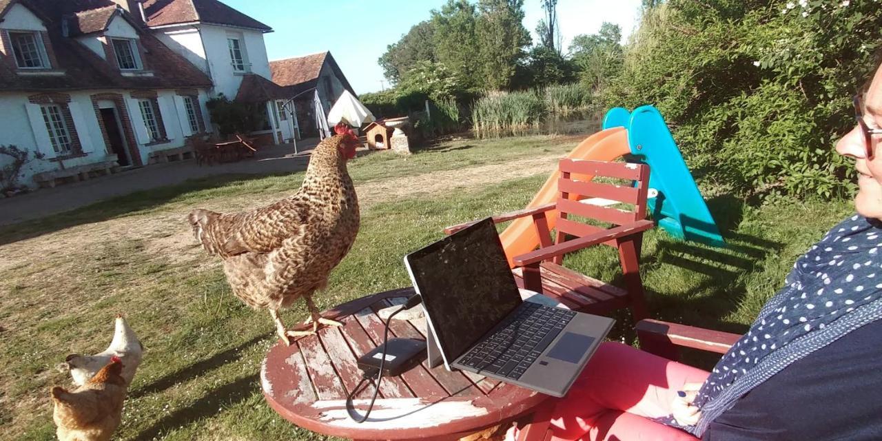 Chambre A La Ferme Saint-Martin-des-Champs  Exteriér fotografie