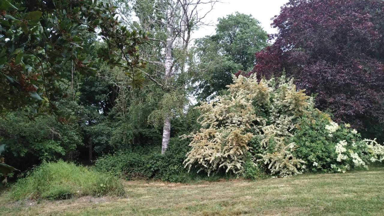 Chambre A La Ferme Saint-Martin-des-Champs  Exteriér fotografie